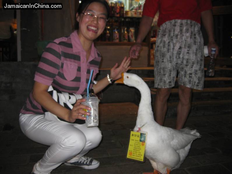 china beijing duck